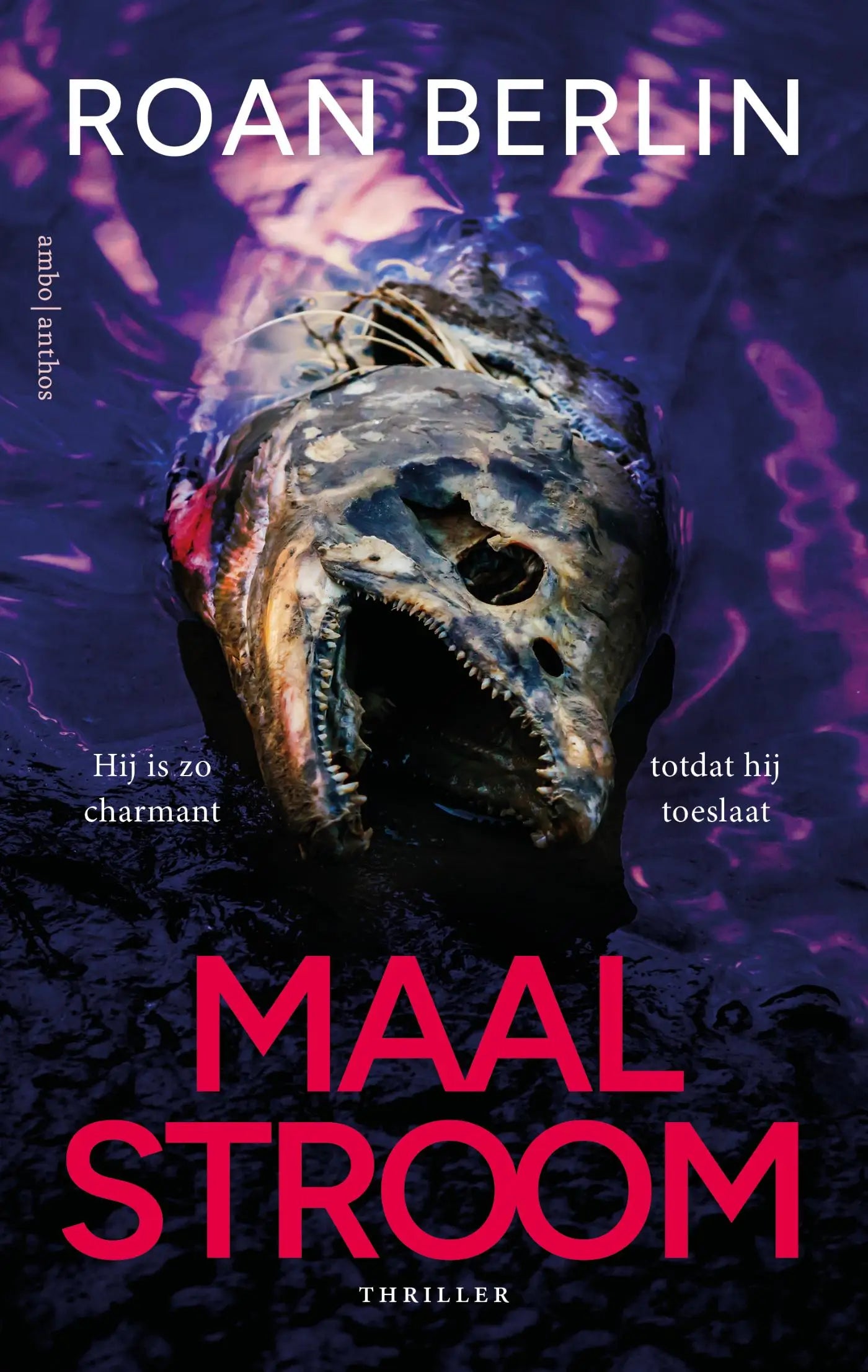 Maalstroom