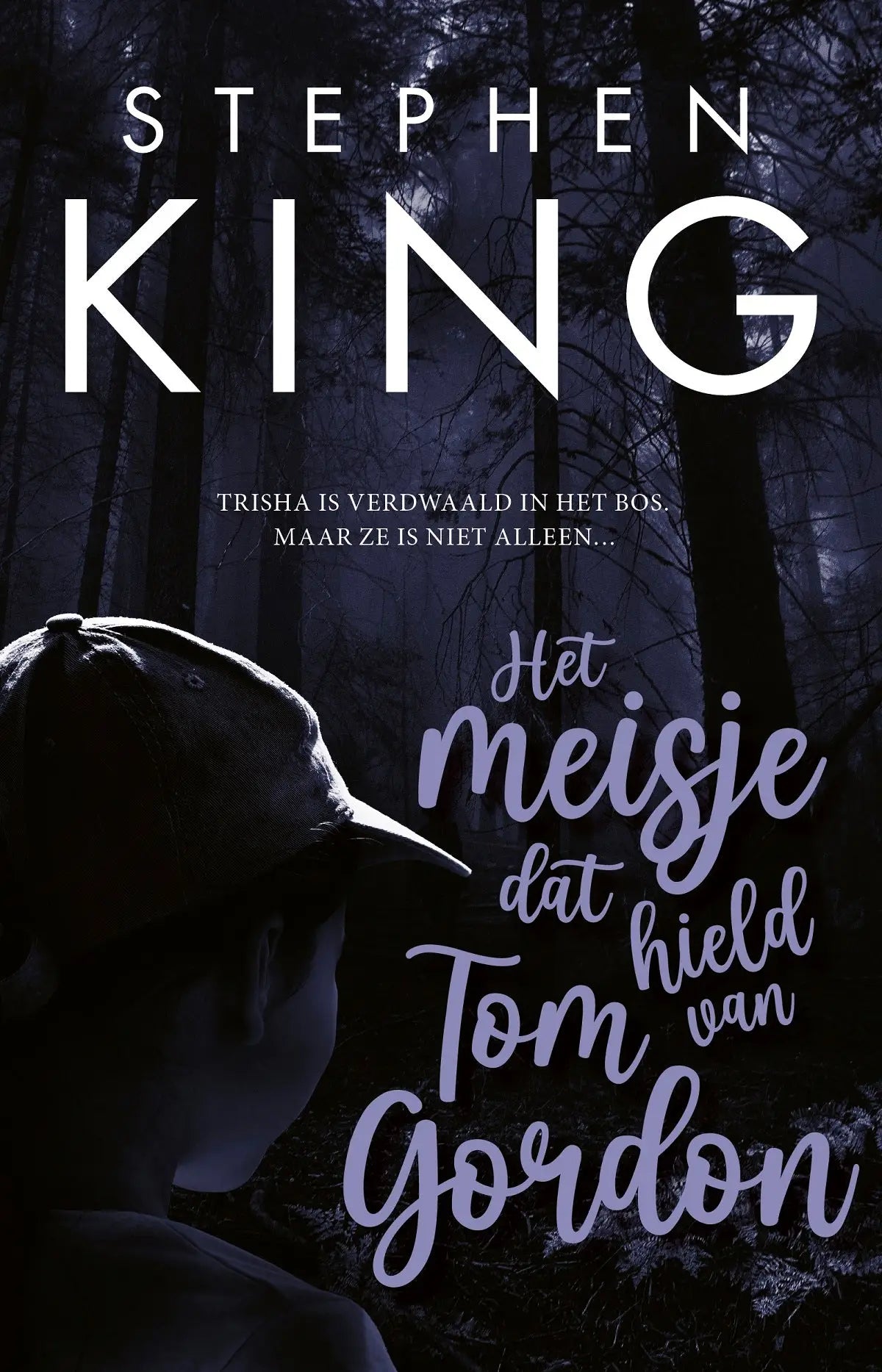Donkerblauwe tom gordon baseballpet gezien van achterzijde gedragen door silhouet tegen mistig bos
