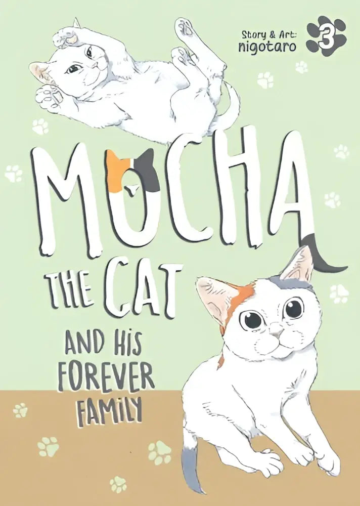 De cover van het kinderboek mocha the cat and his forever family vol 3 toont een illustratie van twee cartoon katten tegen een lichtgroene achtergrond