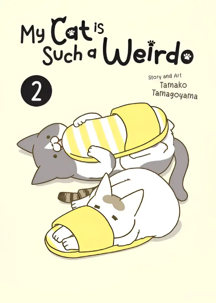 Grijze kat draagt geel-wit gestreepte pantoffel van my cat is such a weirdo vol 2 productlijn