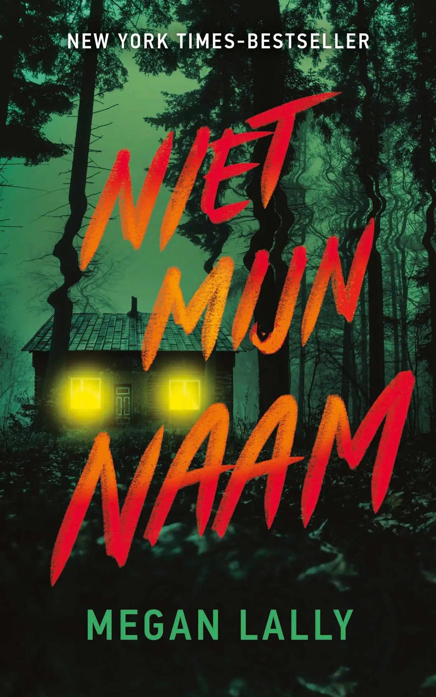 The book cover of niet mijn naam shows bold fiery orange and red lettering against a dark forest with a glowing house for jonge lezers