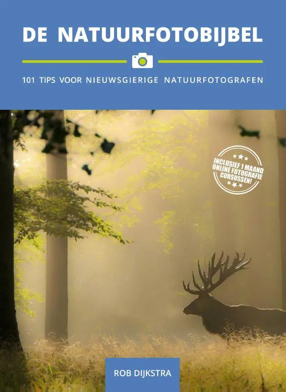 Een majestueuze hert met indrukwekkende gewei staat in een mistig bos bij gouden zonlicht voor nieuwsgierige natuurfotografen