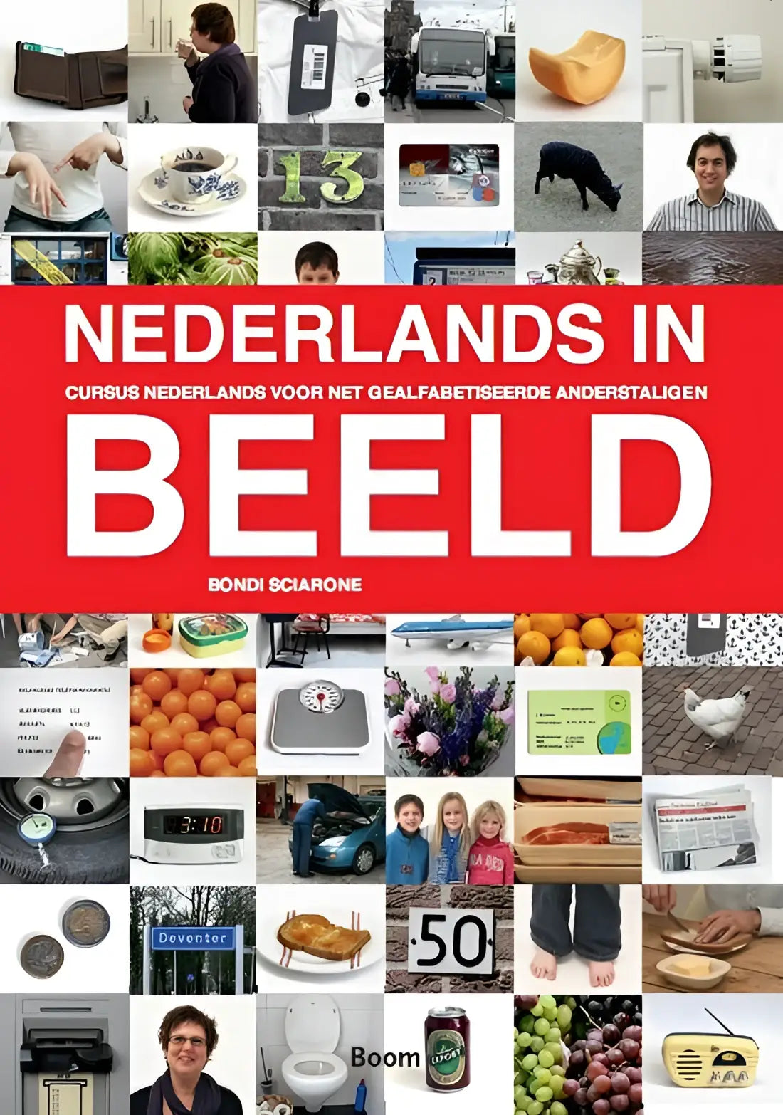 Nederlands in beeld - nederlands in beeld - boek