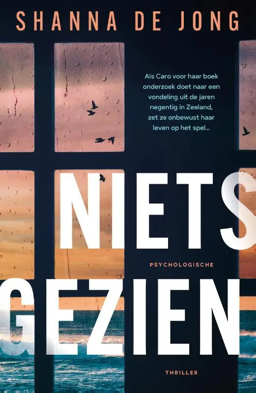 Boekcover van niets gezien met titel in witte letters op donkerblauwe achtergrond en regendruppels op raamzicht