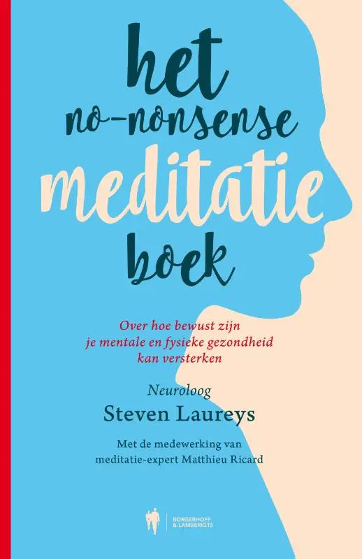 Het no-nonsense meditatieboek met moderne typografie in donkerteal en roomkleur op een blauw achtergrond