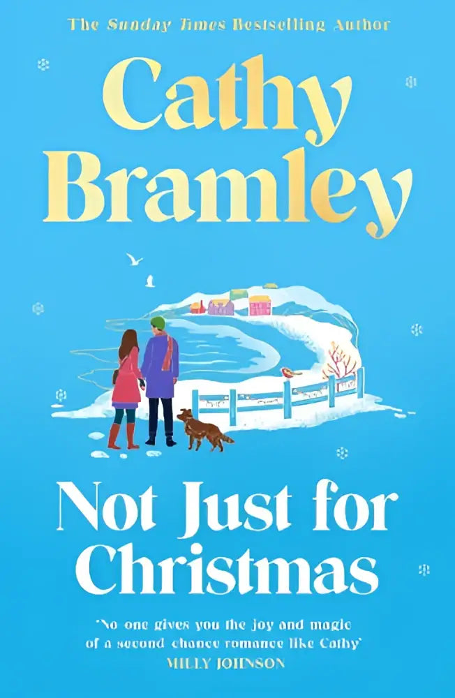 Blauw boek not just for christmas van cathy bramley met illustratie van twee mensen en een hond bij een sneeuwbedekte vijver