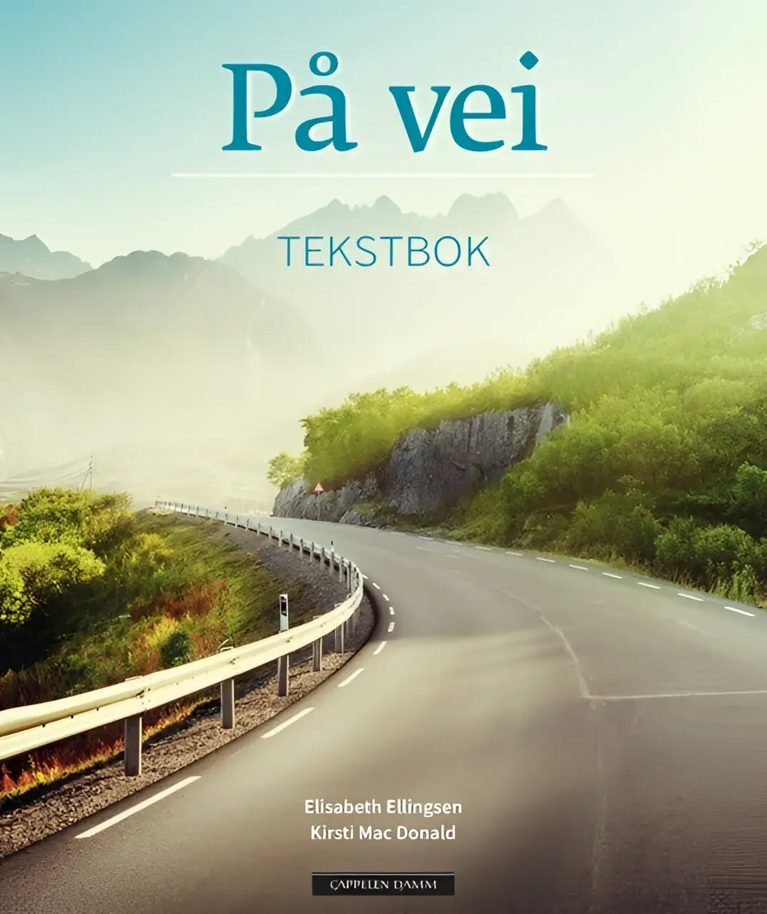 På vei textbook - på vei textbook - boek