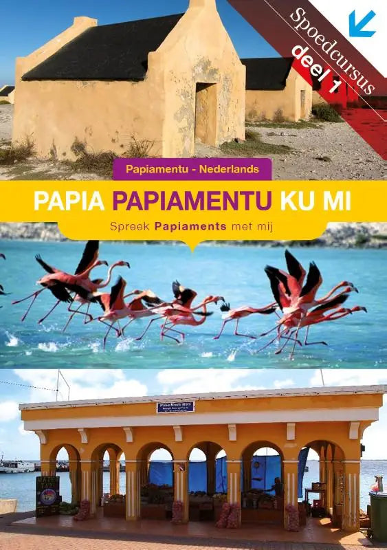 Vibrante reisgids papia papiamentu ku mi met gele en paarse tekst en afbeeldingen van flamingo’s en papiamentu gebouwen