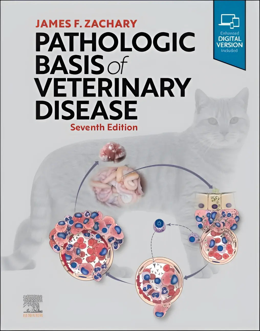 Illustratie van een grijze kat op de omslag van pathologic basis of veterinary disease zevende editie door james f met focus op general pathology and veterinary studies