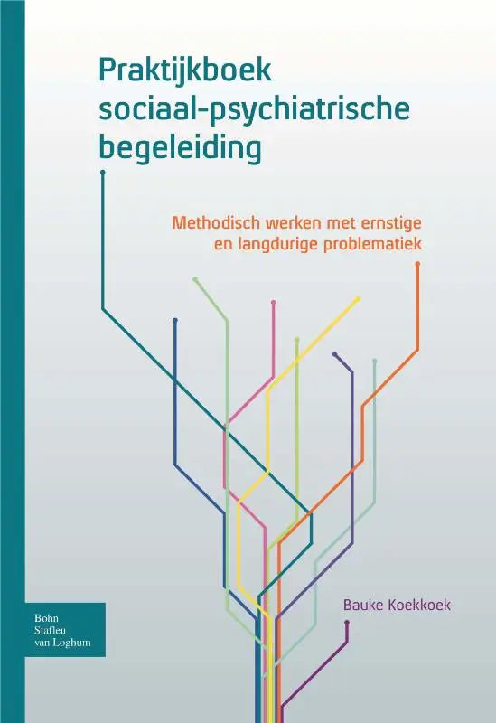 De praktijkboek sociaal-psychiatrische begeleiding door bauke koekkoek van bsl media met moderne lijnen en lichte achtergrond voor andere therapieën