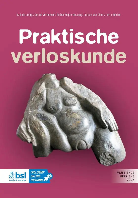 Grijs stenen beeldhouwwerk van een liggend figuur met zachte contouren in praktische verloskunde van corine verhoeven en esther feijen