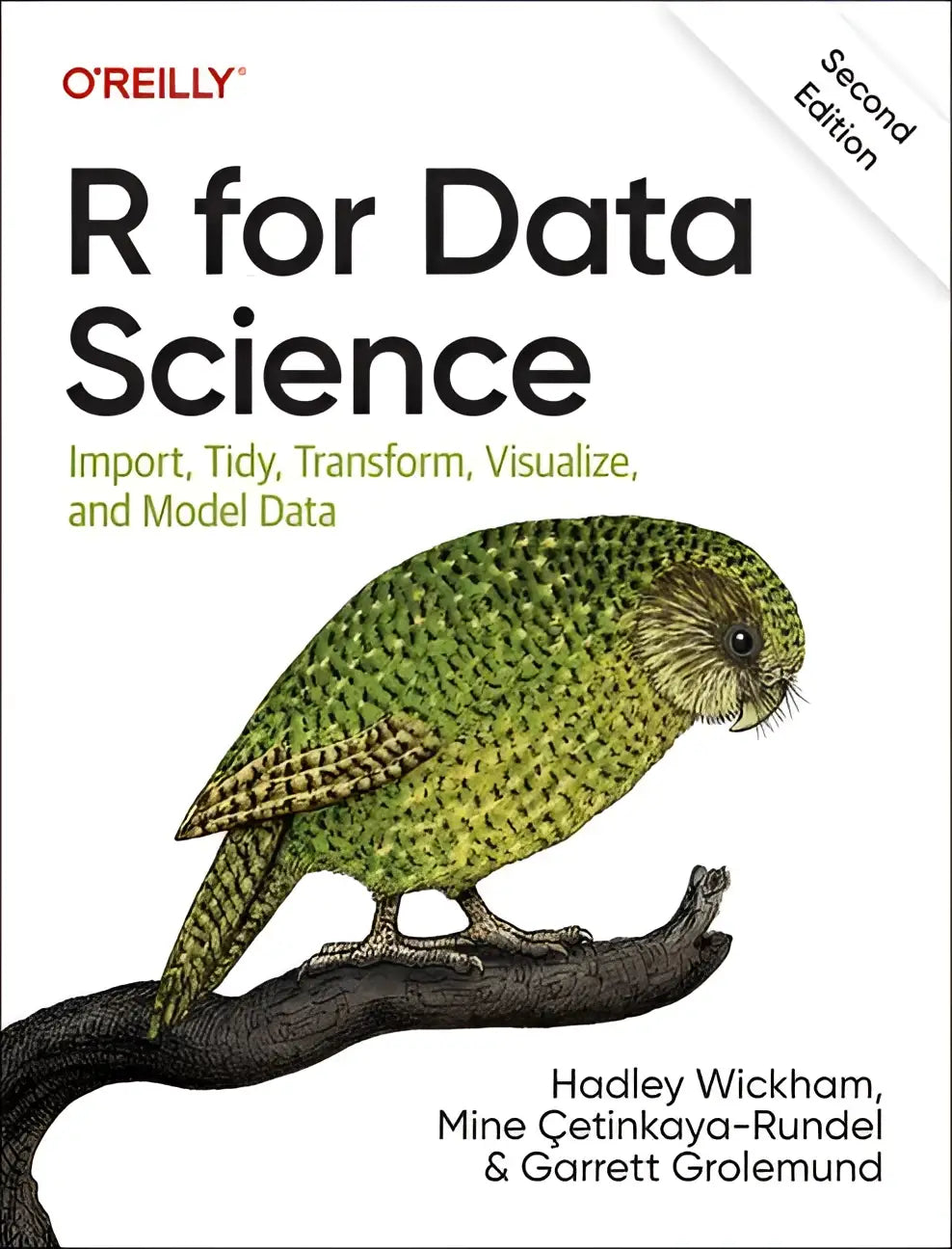 De boekcover van r for data science toont een gedetailleerde tekening van een groene en bruine kea om te leren hoe je data verwerkt