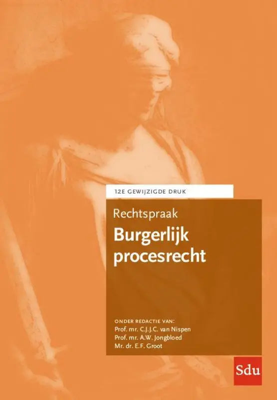 Oranje boekcover rechtspraak burgerlijk procesrecht met vervaagd klassiek standbeeld en witte tekst