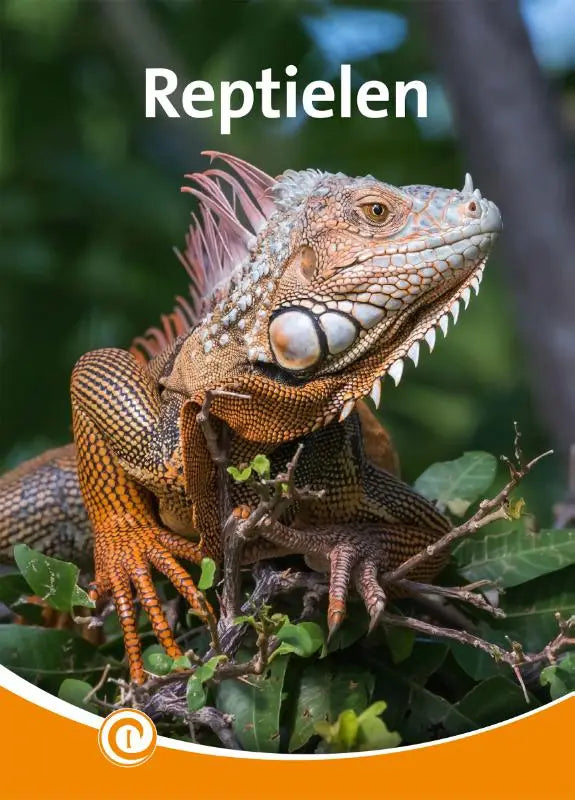Gedetailleerde iguana met oranje bruine schubben en scherpe tanden op takken voor jonge lezers reptielen product