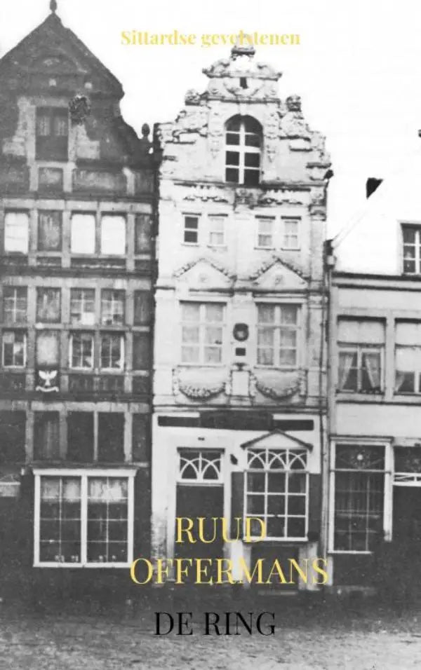 Zwart-wit boekcover met sierlijke historische gebouwen en goudkleurige tekst over sittardse gevelstenen