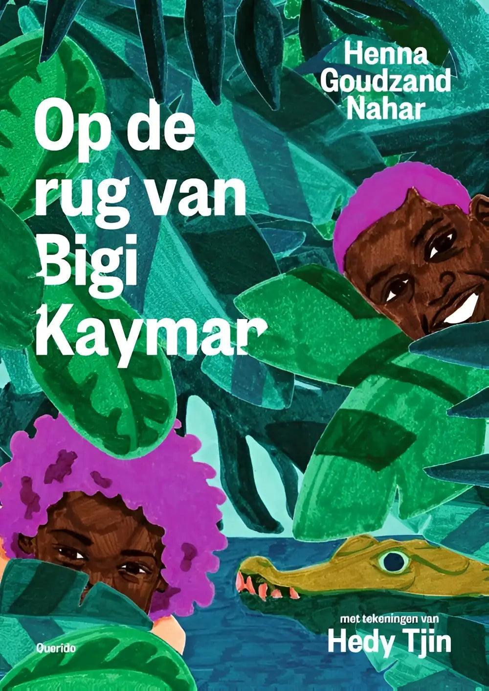 Boekomslag voorkant 9789045126685