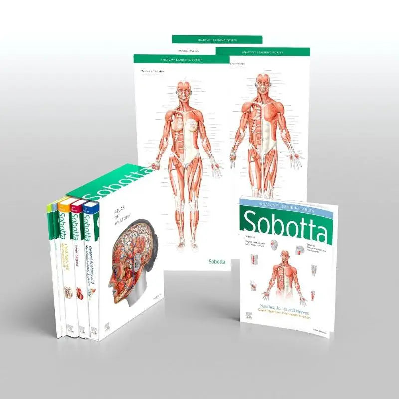 Set sobotta atlas anatomy posters with detailed human muscular and skeletal diagrams in green bordered white paper