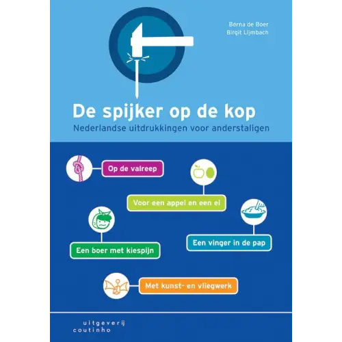 De spijker op de kop