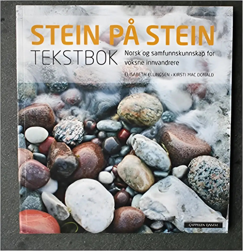 Stein på stein tekstbok - stein på stein tekstbok - boek