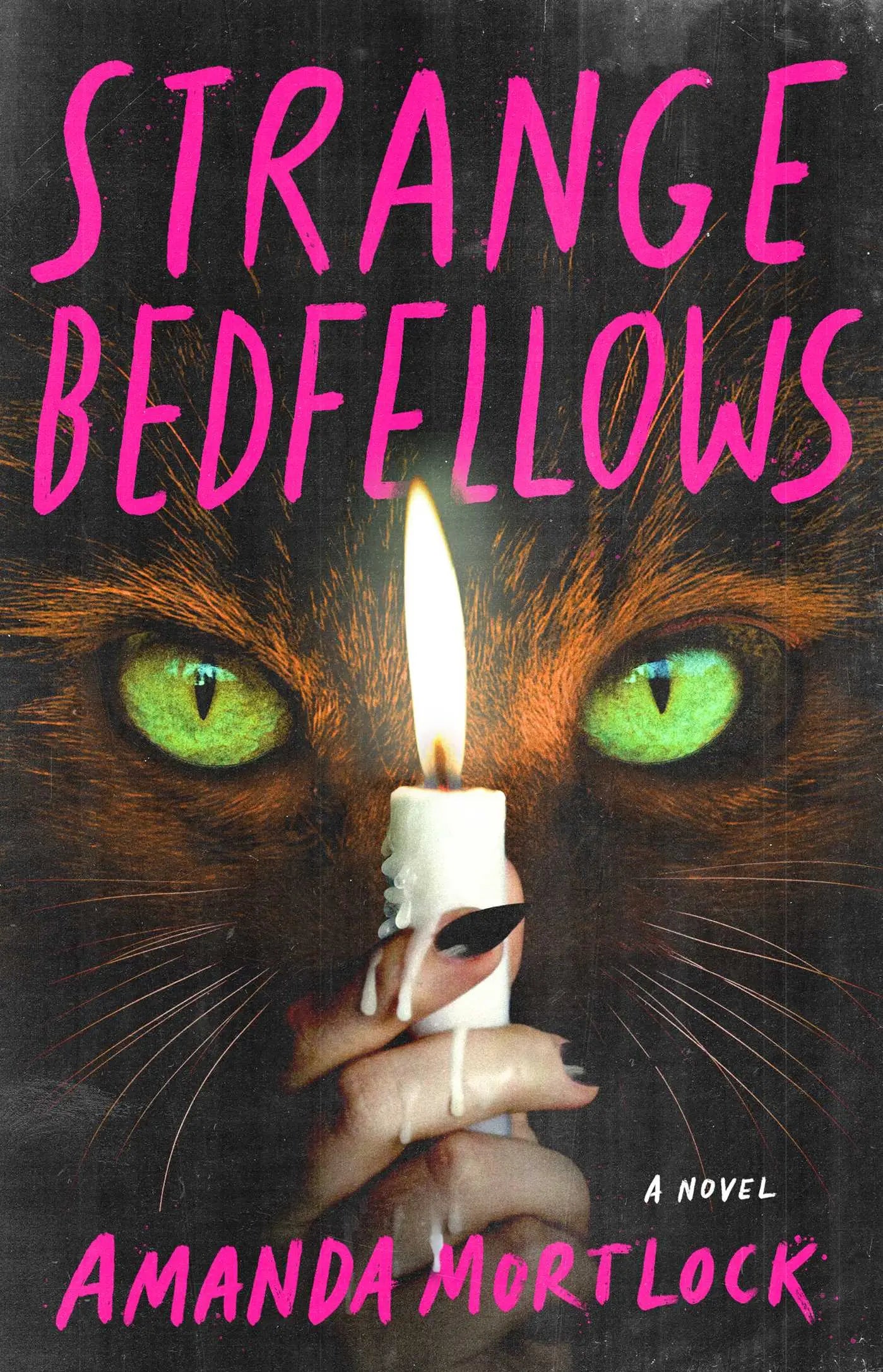 Strange Bedfellows - A Novel