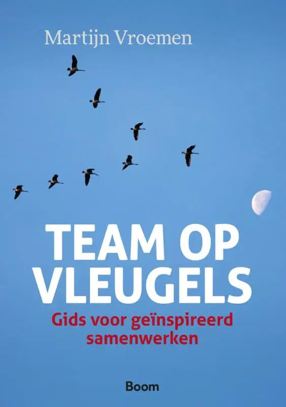 Blauwe boekomslag team op vleugels met witte titel rode ondertitel en auteur martijn vroemen van koninklijke boom uitgevers
