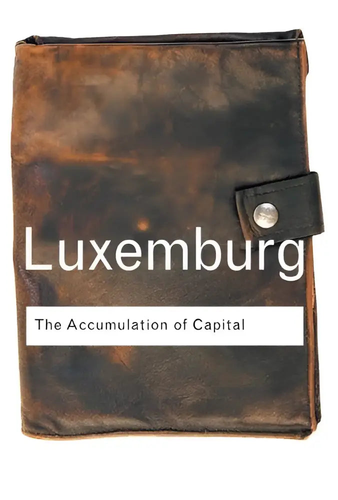 Een donkerbruin leren gebonden boek met zilveren sluiting en de titel luxemburg the accumulation of capital in wit