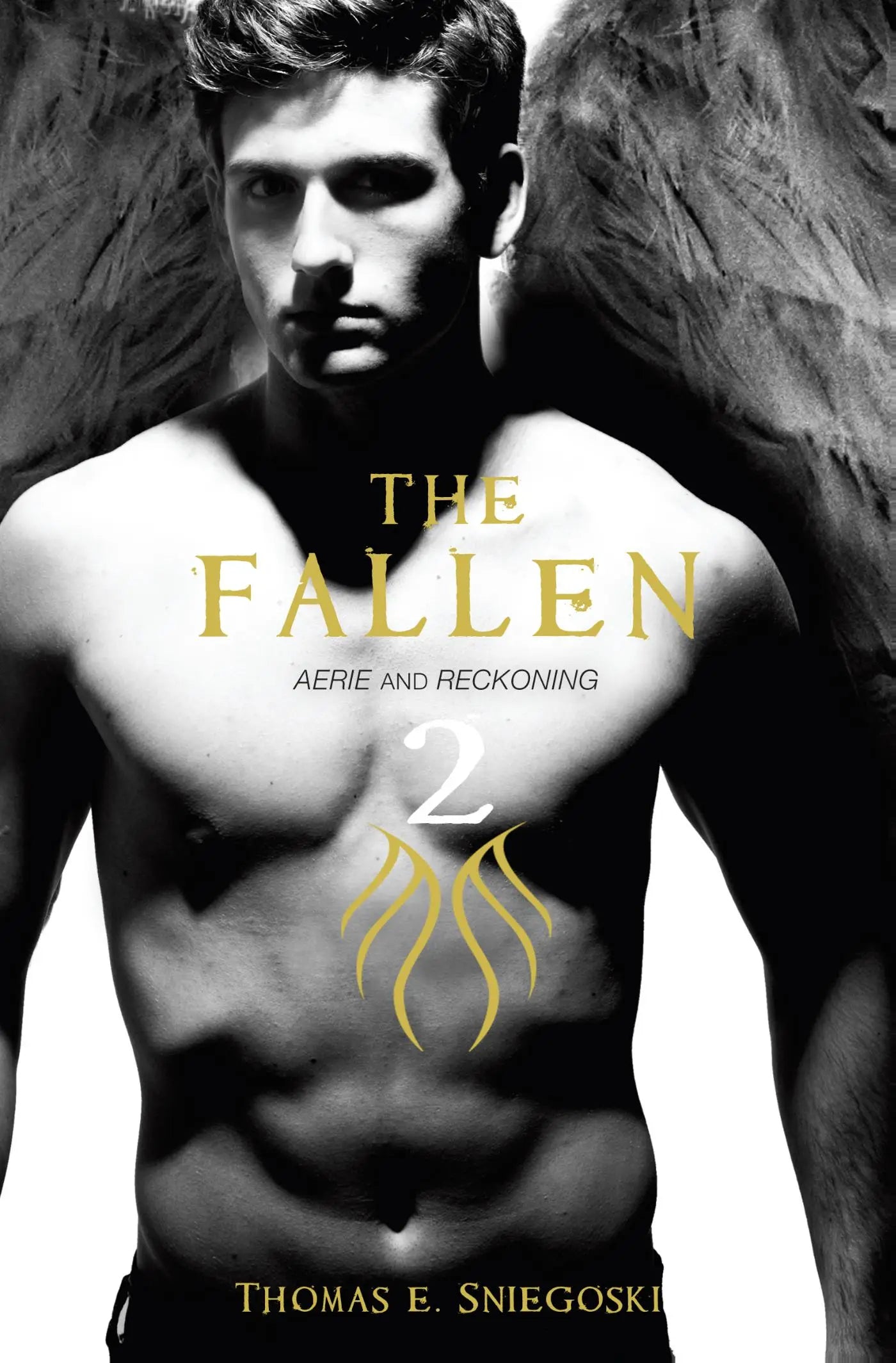 The Fallen 2 - Aerie and Reckoning