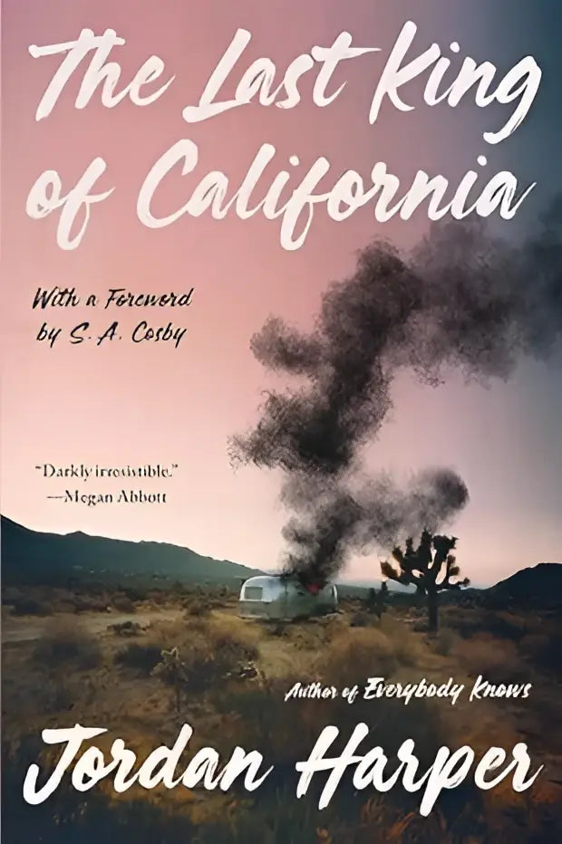 De omslag van het boek the last king of california toont een vintage zilveren trailer met zwarte rook tegen een roze paarse lucht