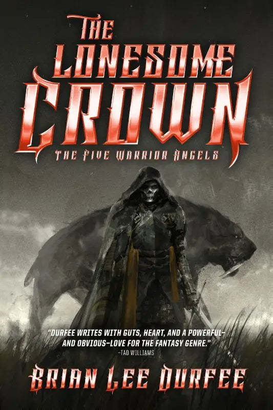 De lonesome crown fantasy roman van brian lee durfee met een illustratie van een gewapende gehulde figuur met vleugels