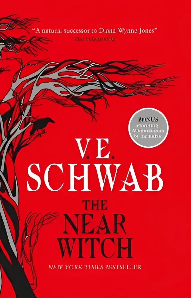 Omslag van het boek the near witch door v.e. met een donkere, sfeervolle uitstraling voor liefhebbers van fantasy