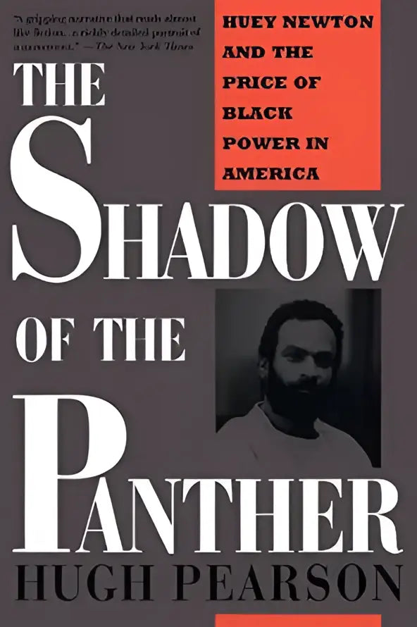 De boekcover van the shadow of the panther toont witte letters op een donkergrijze achtergrond met een oranje blok