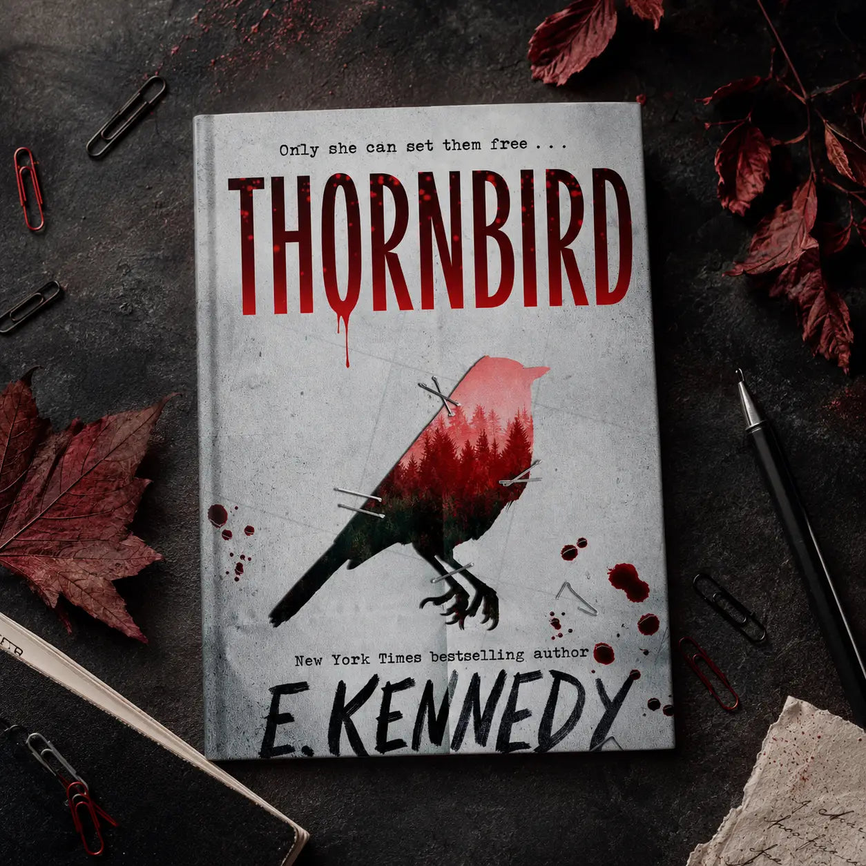 Een paperbackboek getiteld thornbird door e in een young adult product genaamd thornbird door holly jackson