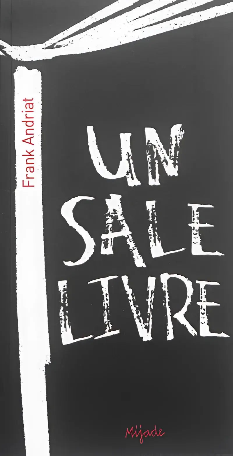 Un sale livre - un sale livre - boek