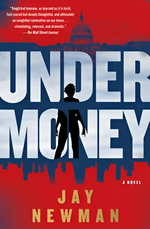 De boekomslag van undermoney toont de titel in witte letters op een rood en blauw achtergrond met een illustratie van de VS