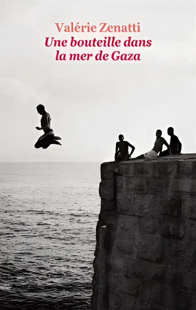 Une bouteille dans la mer de gaza - une bouteille dans la mer de gaza - boek