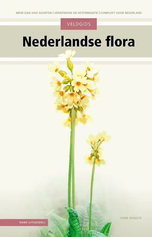 Soft-focus foto van gele sleutelbloemen met groene stengels in de veldgids nederlandse flora voor plantenherkenning