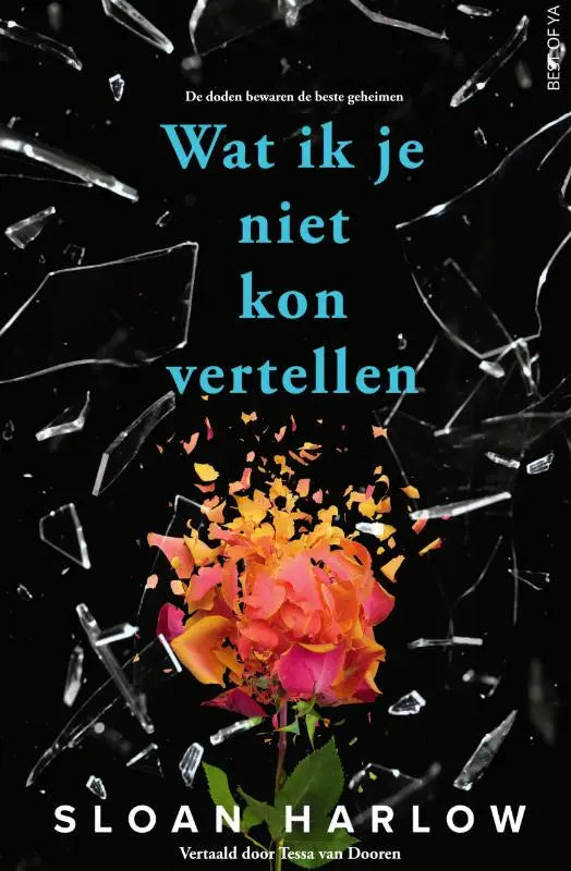 De cover van het boek wat ik je niet kon vertellen toont een oranje roze roos die door glas breekt met focus op doden bewaren en beste geheimen voor jonge lezers