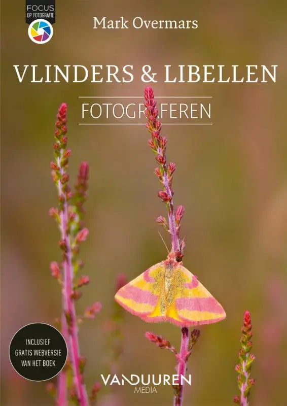 Een levendige gele en roze nachtvlinder met fijne vleugelpatronen op een roodpaarse plant voor libellen fotograferen