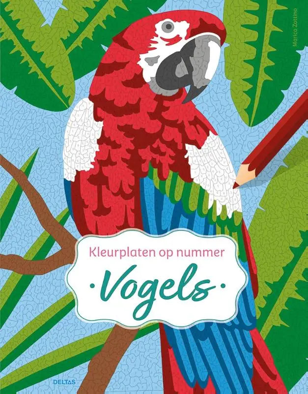 Illustratie van een marica zottino stijl kleurrijke latin vogel macaw in vogels kleurplaten op nummer design