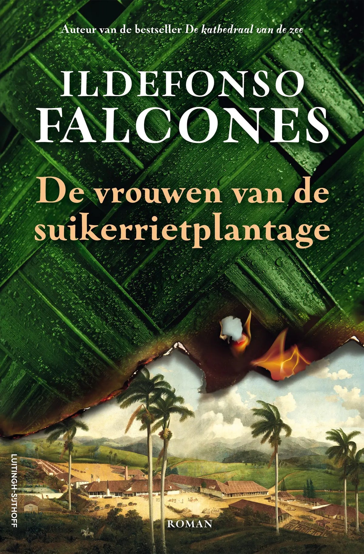 Boekcover van de vertaalde literaire roman de vrouwen van de suikerrietplantage door ildefonso falcones met groen bananenblad en palmillustratie