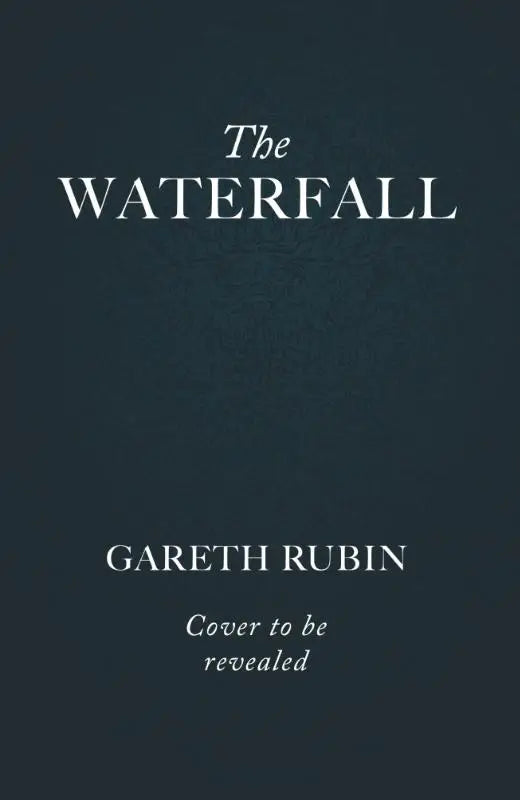 Waterfall - A beguiling and intricate mystery from Sunday Times bestselling author Gareth Rubin