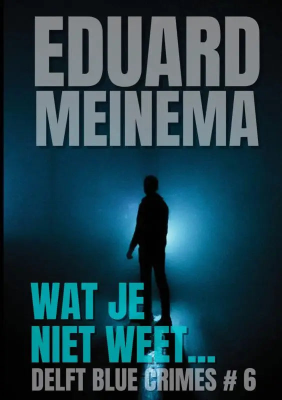 Donkerblauw boekcover van delft blue crimes 6 met silhouet van man voor licht en titel wat je niet weet van eduard meinema