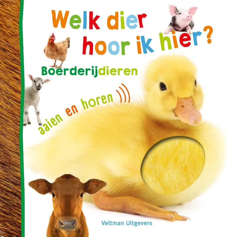 Een gele, pluizige eendjongen met een oranje snavel uit het boek dier hoor boerderijdieren voor jonge lezers