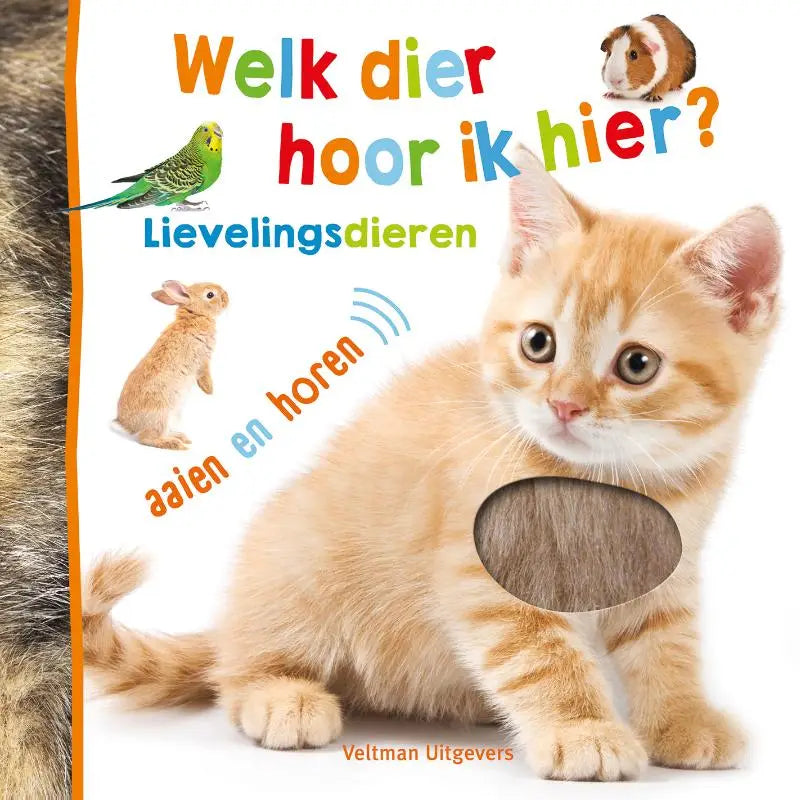 Een fluffy ginger kitten met zachte oranje vacht en witte snuit zit voor het boek dier hoor voor jonge lezers