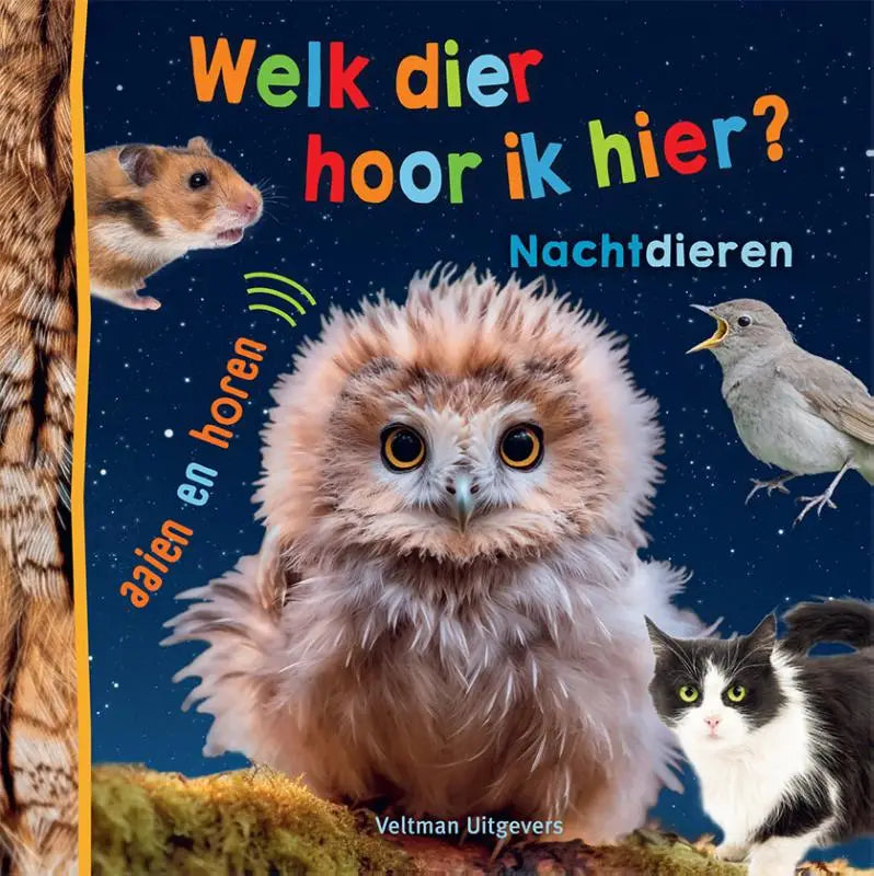 Een lichtbruine en witte uil met grote gele ogen op de omslag van het kinderboek dier hoor voor jonge lezers