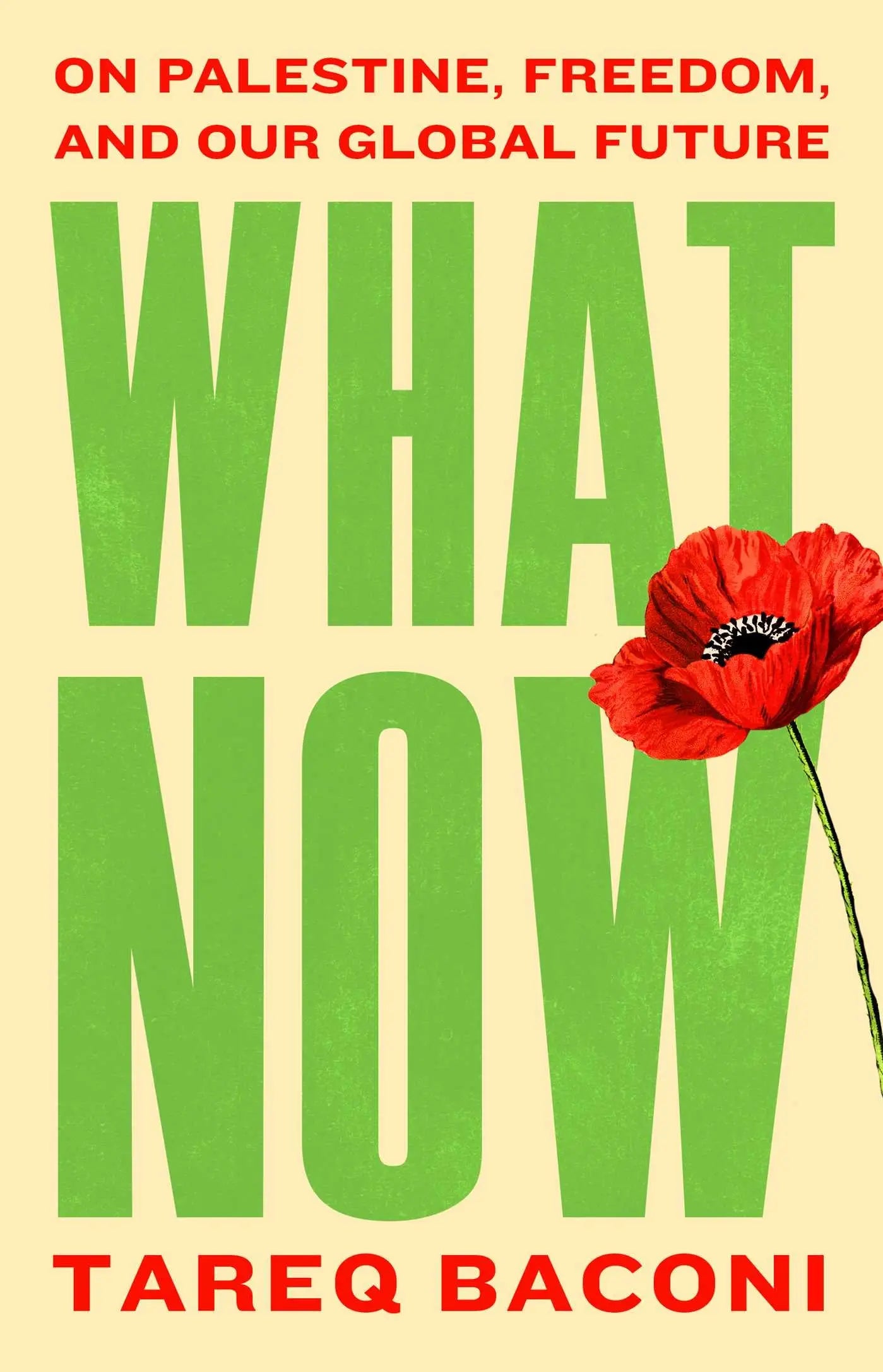 What Now - On Palestine, Freedom, and Our Global Future