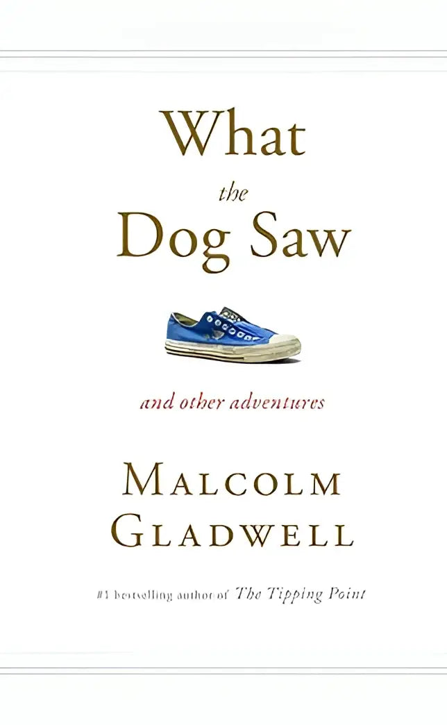 Blauwe canvas sneaker met witte rubberen zool en veters bij product what the dog saw