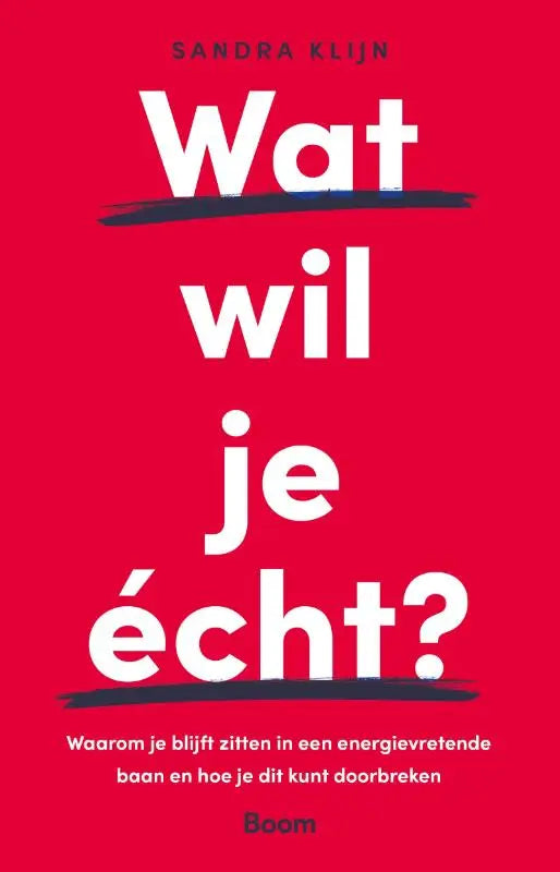 Rode boekcover met vet witte tekst en zwarte onderlijnen van wat wil je echt door sandra klijn over blijft zitten in energievretende baan
