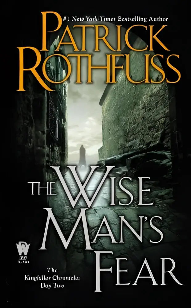 Wise mans fear boek van patrick rothfuss met gotische stenen architectuur en een dreigende figuur in de koningkiller chronicle
