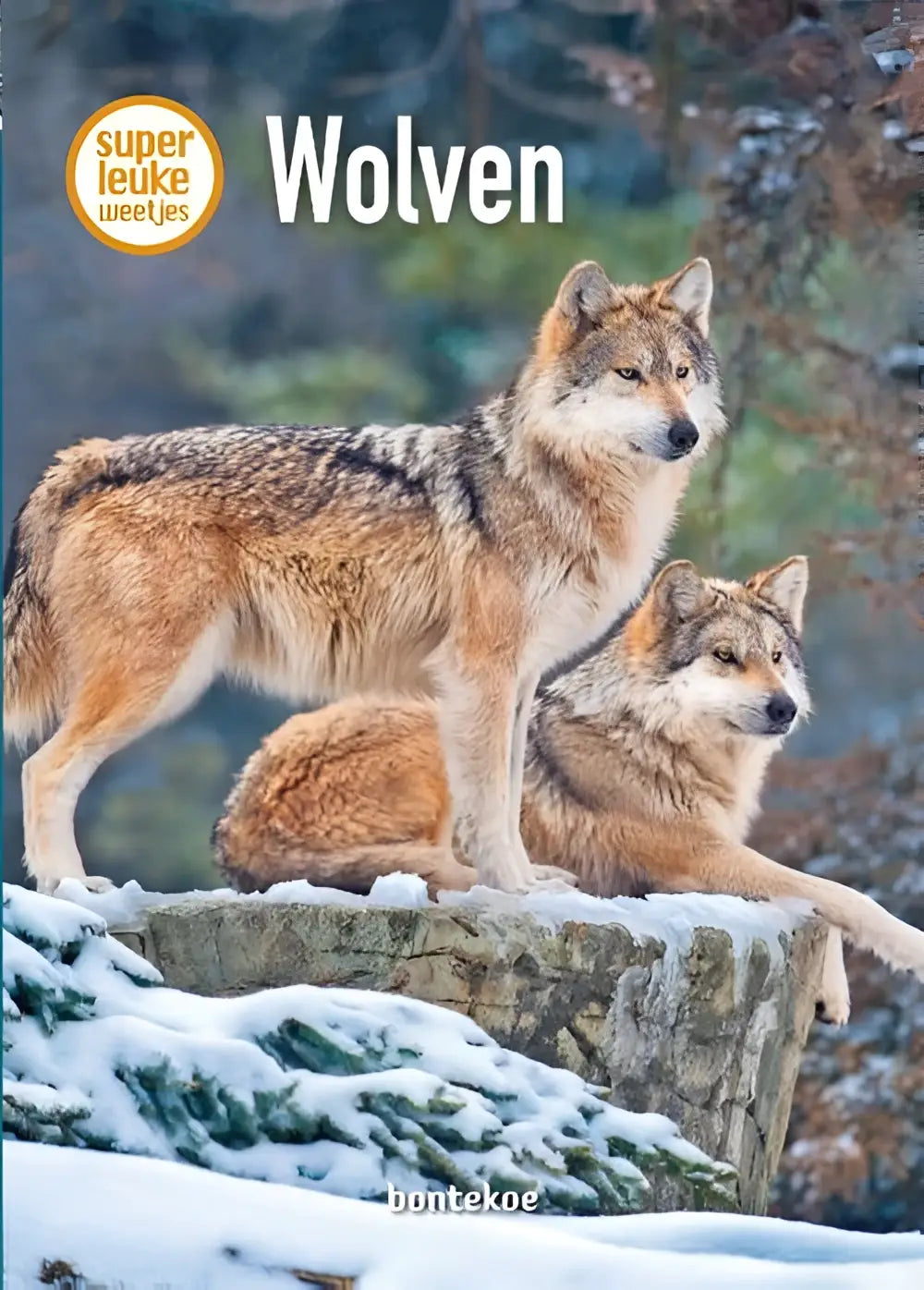 De cover van het dutch kinderboek wolven door christina braun toont twee wolven met grijs en tan bont op een sneeuwbed rots in serie superleuke weetjes